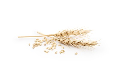 Photo of Wheat spikes and grains isolated on white