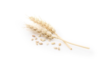 Photo of Wheat spikes and grains isolated on white