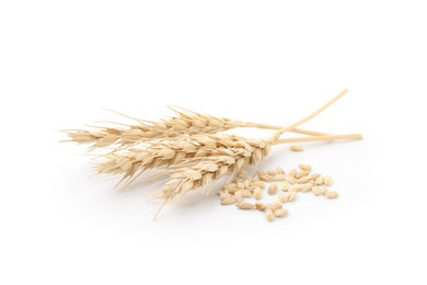 Photo of Wheat spikes and grains isolated on white