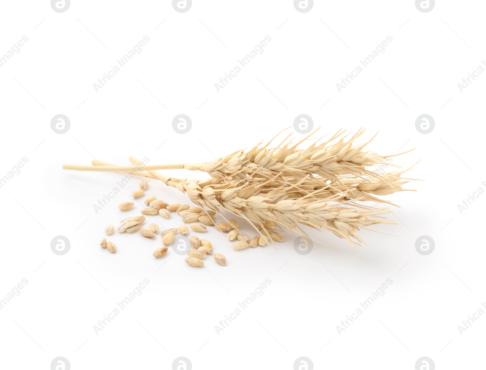 Wheat spikes and grains isolated on white Photo of Wheat spikes and grains isolated on white