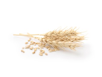Photo of Wheat spikes and grains isolated on white