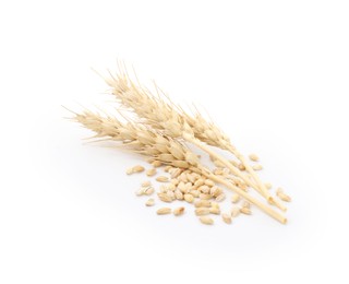 Photo of Wheat spikes and grains isolated on white
