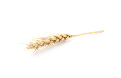 Photo of One spike of wheat isolated on white
