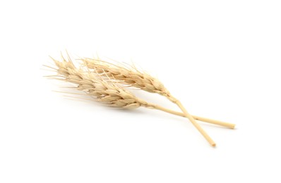 Photo of Two spikes of wheat isolated on white