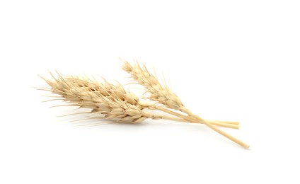 Photo of Dried spikes of wheat isolated on white