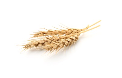 Photo of Dried spikes of wheat isolated on white
