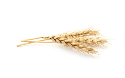 Photo of Dried spikes of wheat on white background