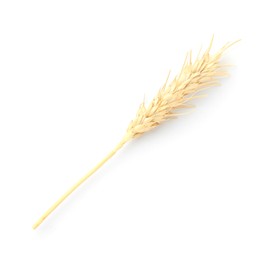 Photo of One spike of wheat isolated on white, top view