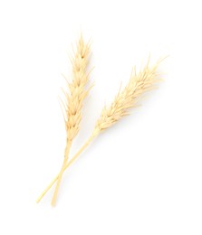 Photo of Two spikes of wheat isolated on white, top view