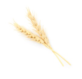 Photo of Two spikes of wheat isolated on white, top view