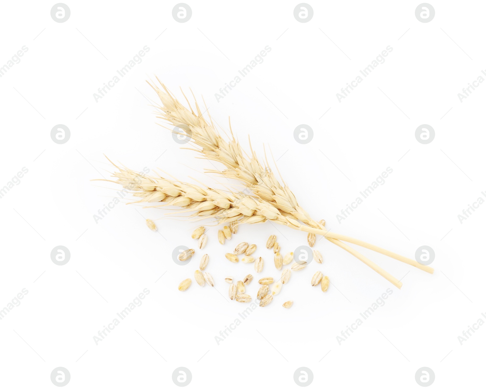 Wheat spikes and grains isolated on white, top view Photo of Wheat spikes and grains isolated on white, top view