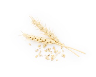 Photo of Wheat spikes and grains isolated on white, top view