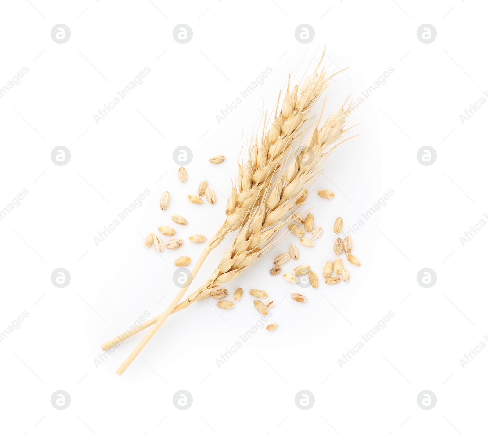 Wheat spikes and grains isolated on white, top view Photo of Wheat spikes and grains isolated on white, top view