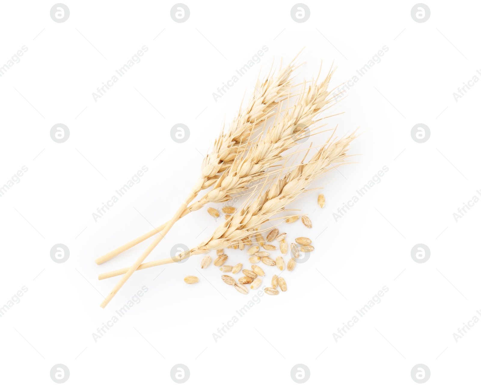 Wheat spikes and grains isolated on white, top view Photo of Wheat spikes and grains isolated on white, top view