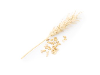 Photo of Wheat spike and grains isolated on white, top view