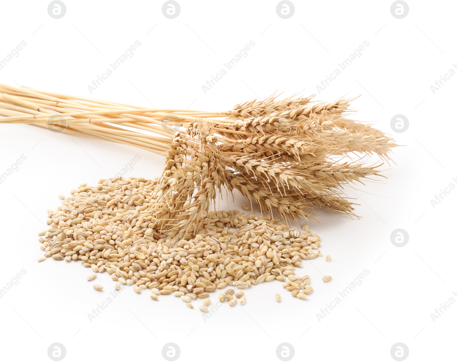Wheat spikes and grains isolated on white Photo of Wheat spikes and grains isolated on white