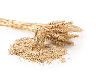 Photo of Wheat spikes and grains isolated on white