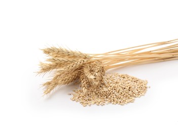 Photo of Wheat spikes and grains isolated on white