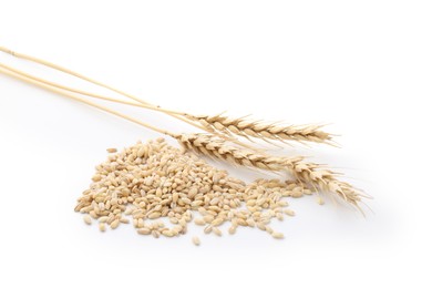 Photo of Wheat spikes and grains isolated on white
