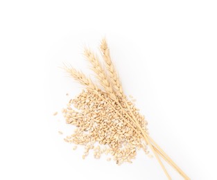 Photo of Wheat spikes and grains isolated on white, top view