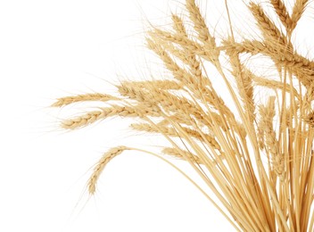 Photo of Dried spikes of wheat isolated on white