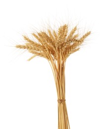 Photo of Bunch of dried wheat spikes isolated on white