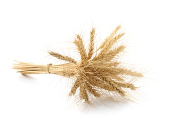 Photo of Bunch of dried wheat spikes isolated on white