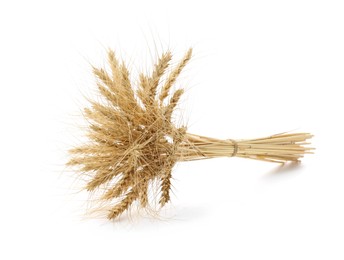 Photo of Bunch of dried wheat spikes isolated on white