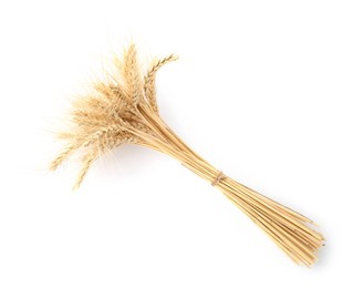 Photo of Bunch wheat spikes isolated on white, top view