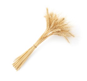 Photo of Bunch wheat spikes isolated on white, top view