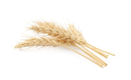 Photo of Dried spikes of wheat isolated on white