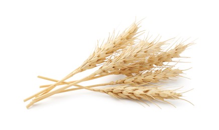 Photo of Dried spikes of wheat isolated on white