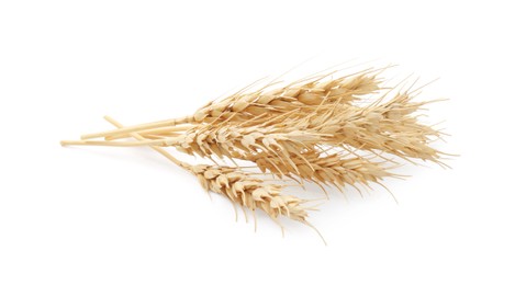 Photo of Dried spikes of wheat isolated on white