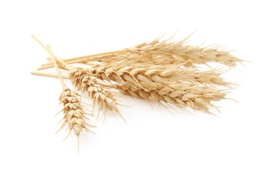 Photo of Dried spikes of wheat isolated on white