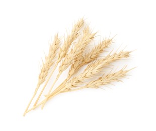 Photo of Dried spikes of wheat isolated on white, top view