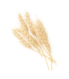Photo of Dried spikes of wheat isolated on white, top view