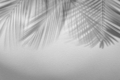 Image of Shadows of tropical palm branches on white background. Black and white toning