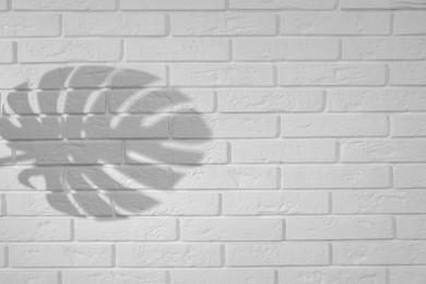 Image of Shadow of monstera leaf on white brick wall. Black and white toning