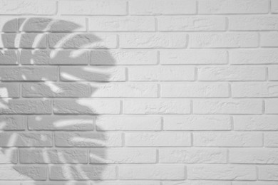 Image of Shadows of monstera leaves on white brick wall. Black and white toning