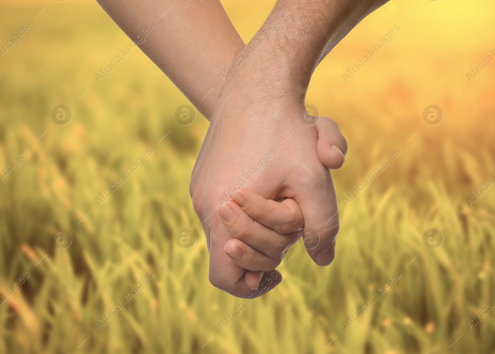 Image of Man and woman holding hands against green grass, closeup