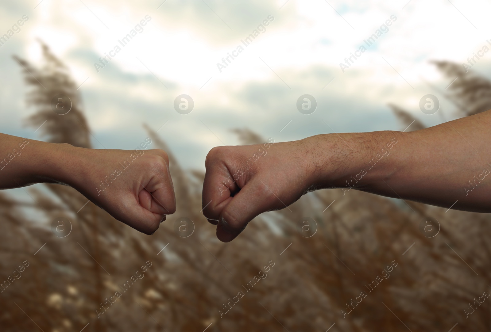 Image of Man and woman making fist bump in nature, closeup of hands