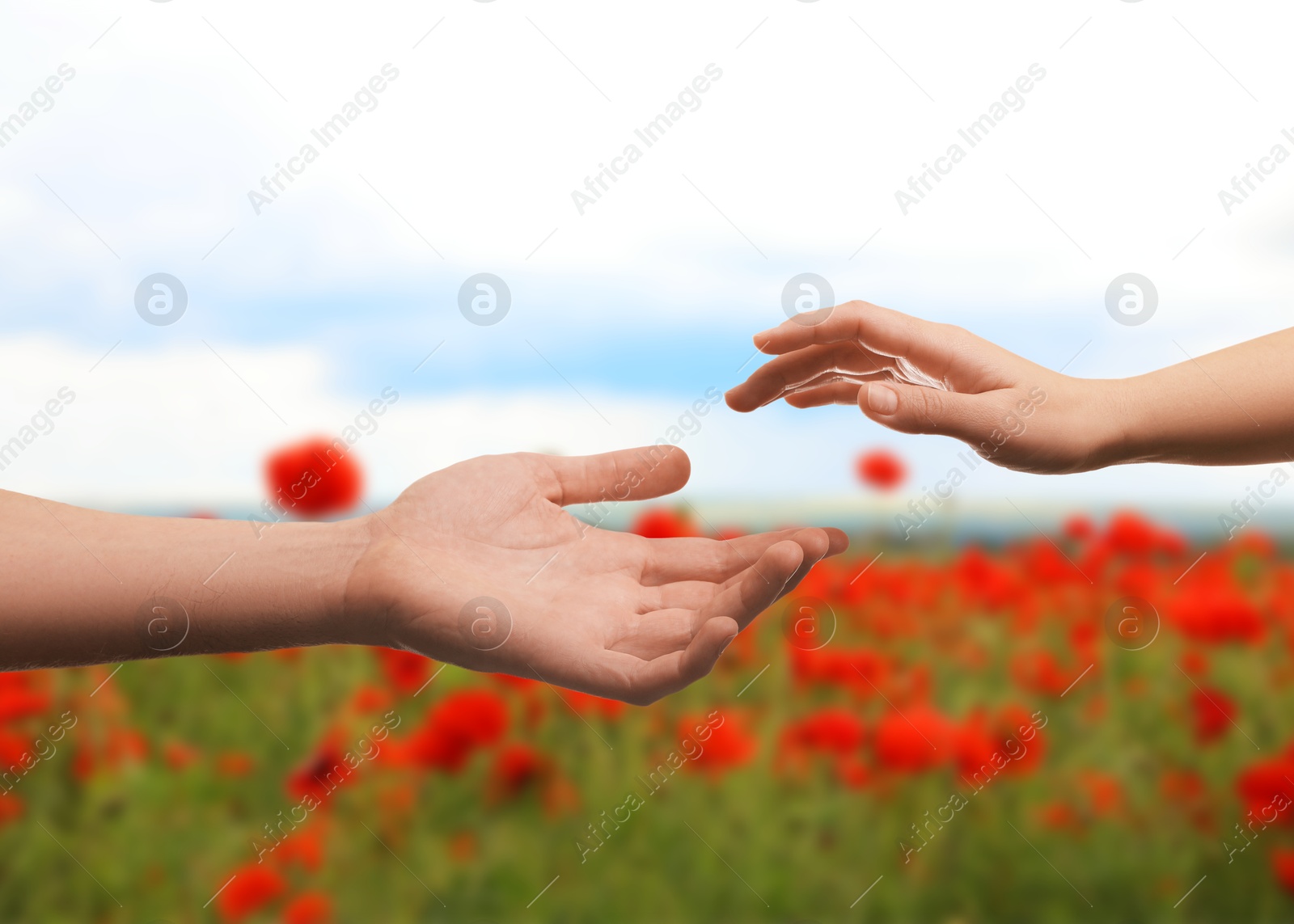 Image of Man and woman reaching to each other against flowering field, closeup of hands