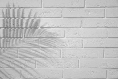 Image of Shadow of tropical palm branch on white brick wall. Black and white toning