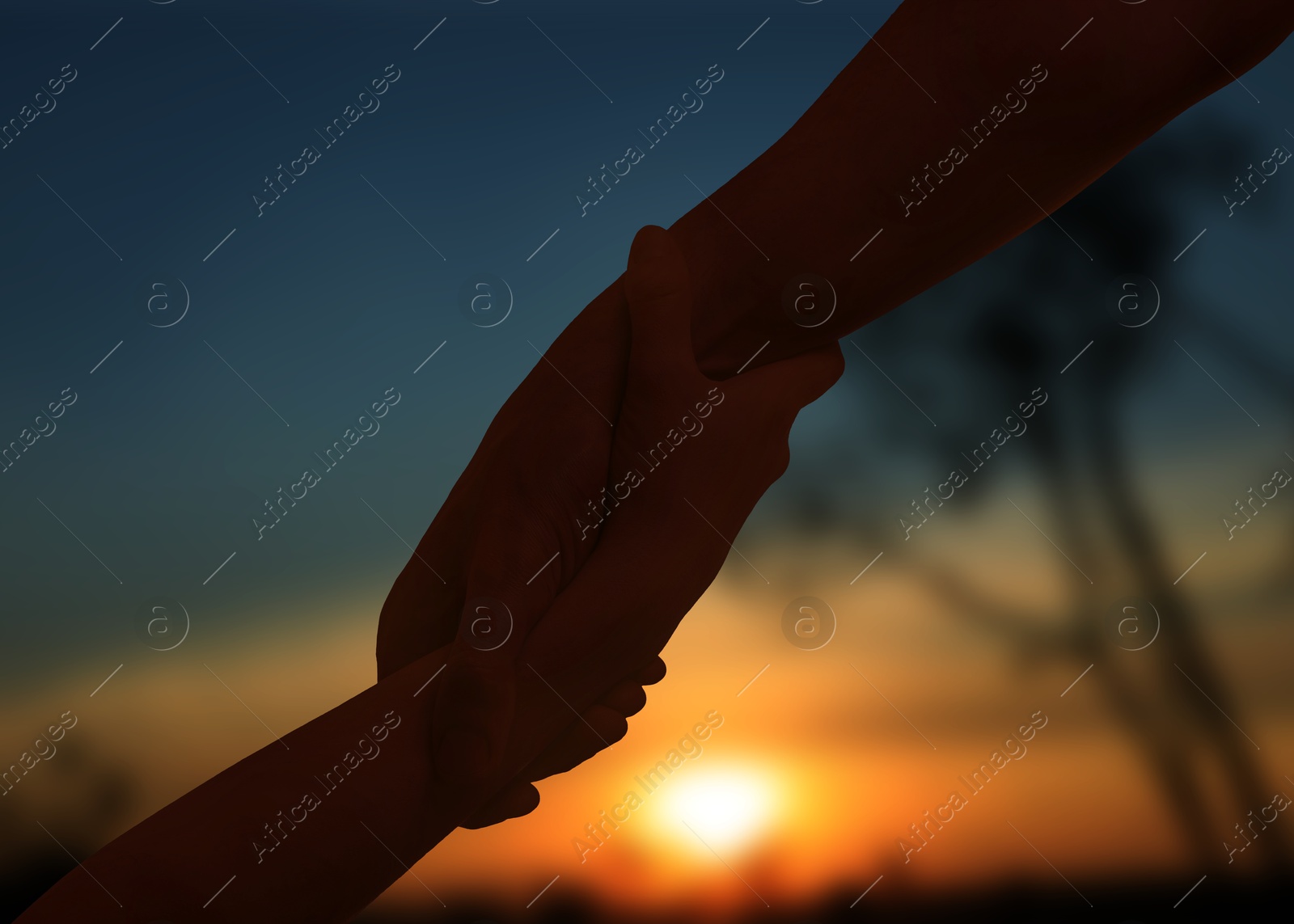 Image of Man and woman holding hands in nature at sunset, closeup