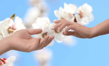 Image of Man and woman reaching to each other against blooming tree branch, closeup of hands