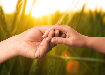Image of Man and woman holding hands against green field at sunset, closeup