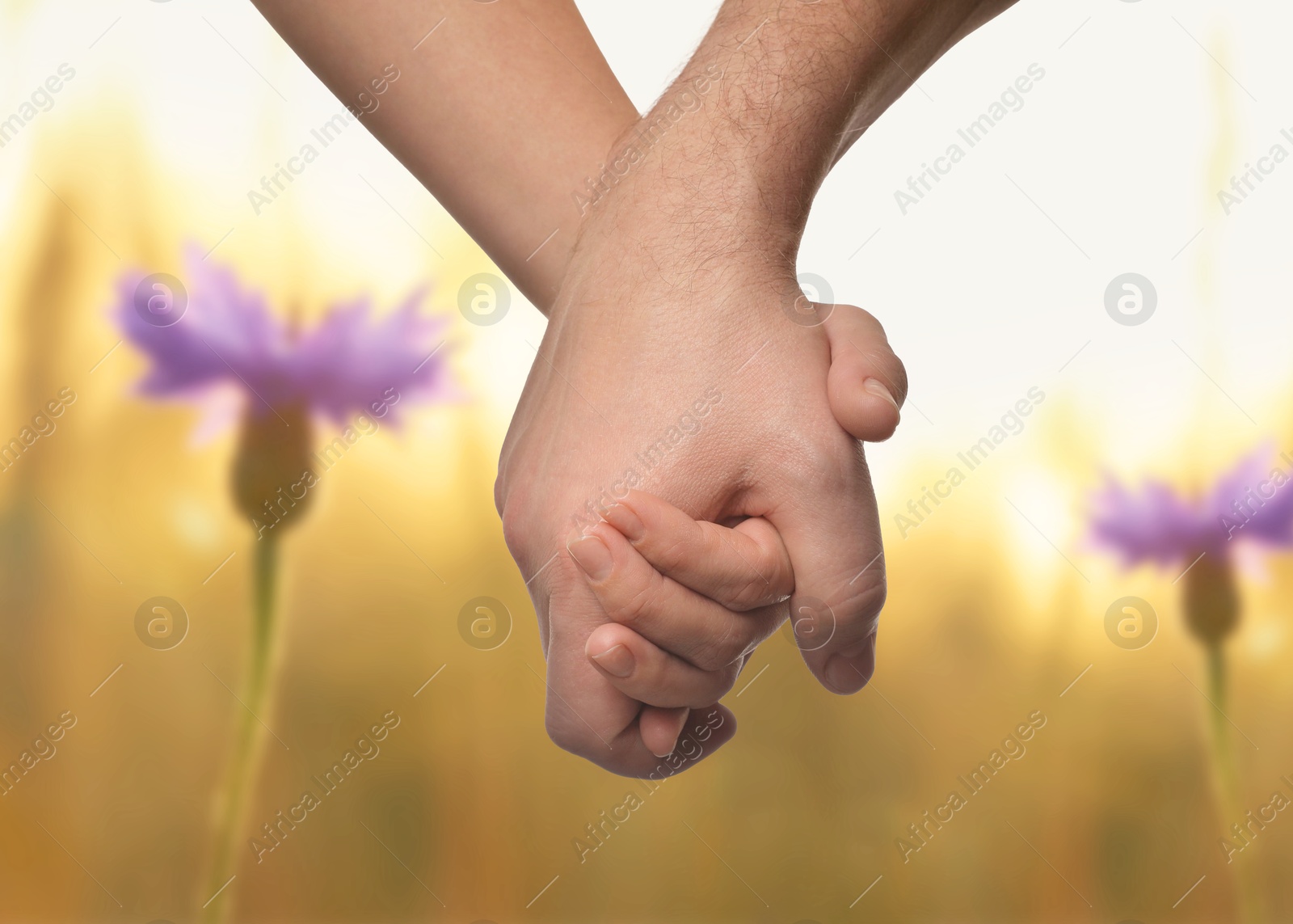 Man and woman holding hands against flowers in field on sunny day, closeup Image of Man and woman holding hands against flowers in field on sunny day, closeup