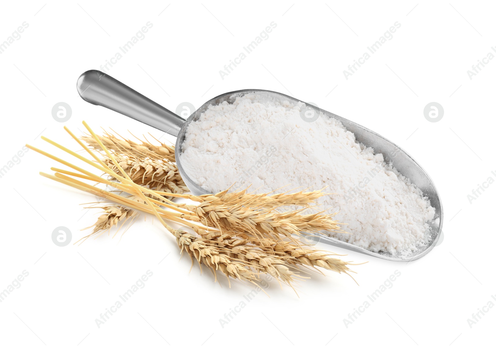 Image of Wheat flour in scoop and spikelets on white background