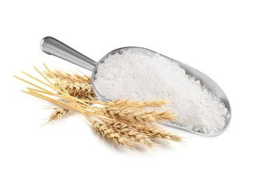 Image of Wheat flour in scoop and spikelets on white background