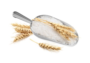 Image of Wheat flour in scoop and spikelets on white background